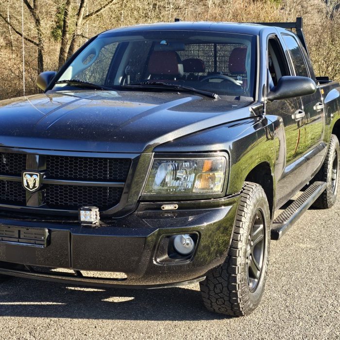 Dodge Dakota - Backrack, Zusatzbeleuchtung & CB-Funk