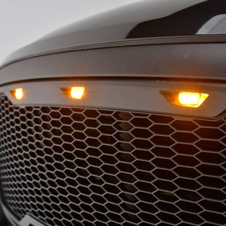 Kühlergrill mit integrierter Beleuchtung Paramount Automotive