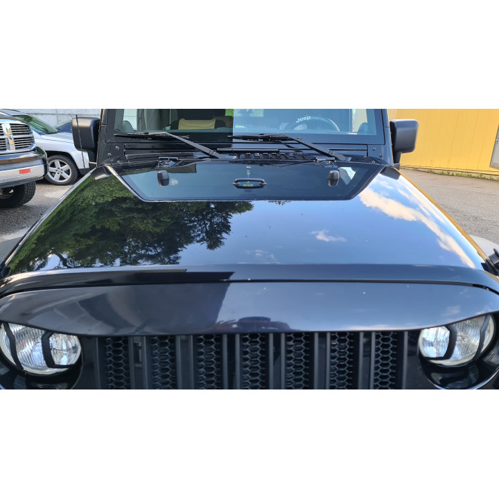 Nighthawk Lightbrow Undercover (in wagenfarbe lackiert!)
