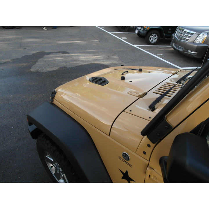 Motorhaube 10th Anniversary Mopar