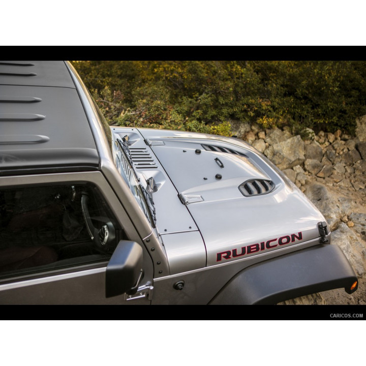 Motorhaube 10th Anniversary Mopar