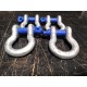 D-Shackle 4.75T mit blauem Bolzen