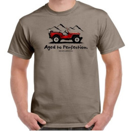 "Aged in Perfection" T-Shirt beige