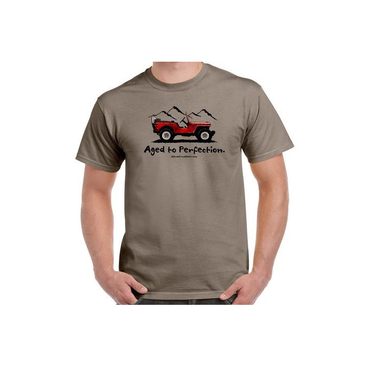 "Aged in Perfection" T-Shirt beige