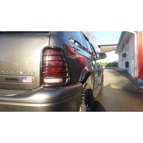 Lampengitter hinten schwarz Westin