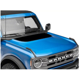 Hood Decal Black Version 1 SEC10