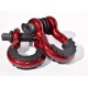 D-Shackle 3/4'' 4T in verschiedenen Farben