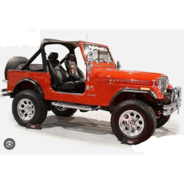 Sidesteps chrom CJ-7 occ.