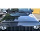 Nighthawk Lightbrow Undercover (in wagenfarbe lackiert!)