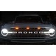 Raptor Grille-Lights orange
