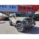 Sidesteps "Dominator" GoRhino JK 2-Door