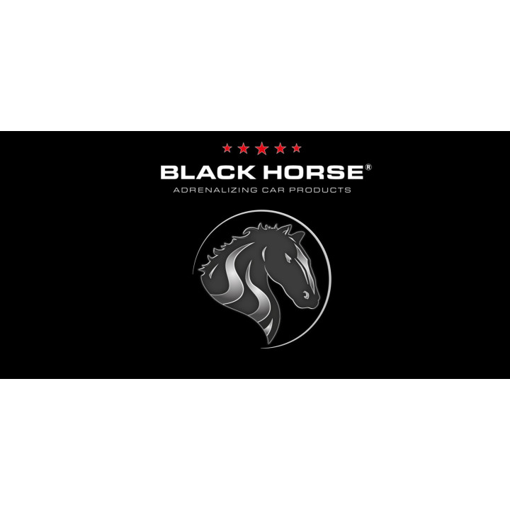 Blackhorse - Das absolute Wundermittel