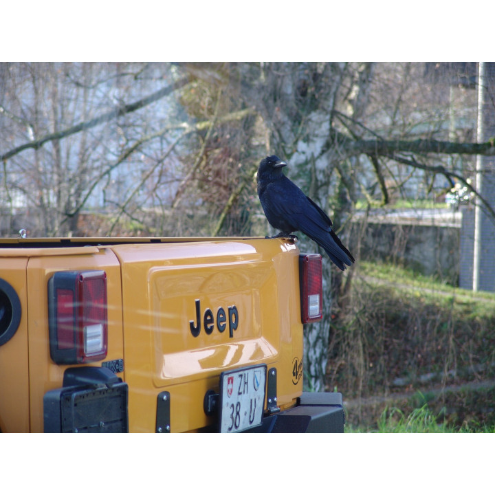 Heckklappen-Umbau Wrangler JK auf CJ-Style