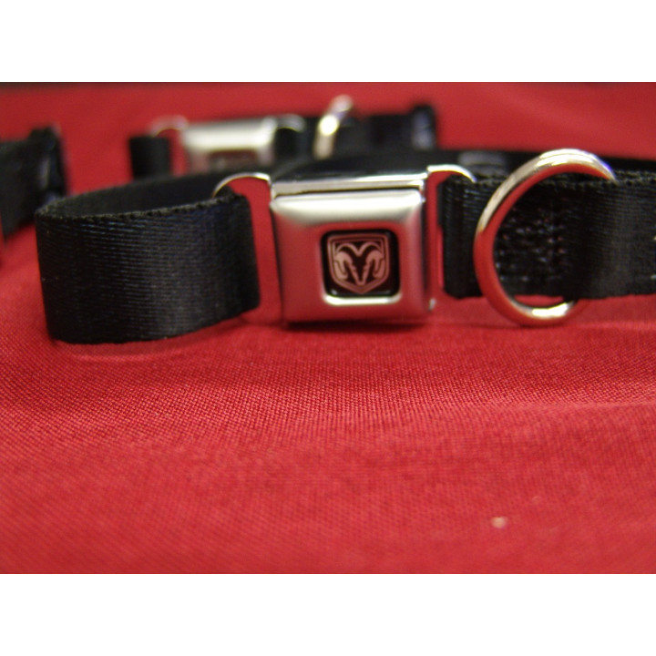 Hundehalsband RAM