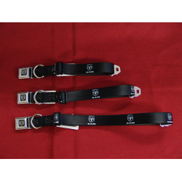 Hundehalsband RAM