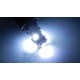 LED Glassockel "Cool White"