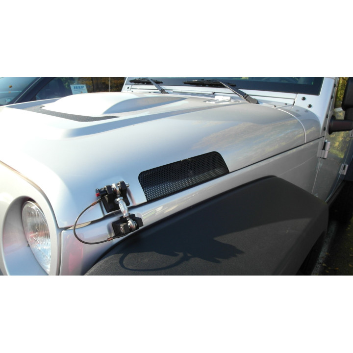 Motorhaube AEV