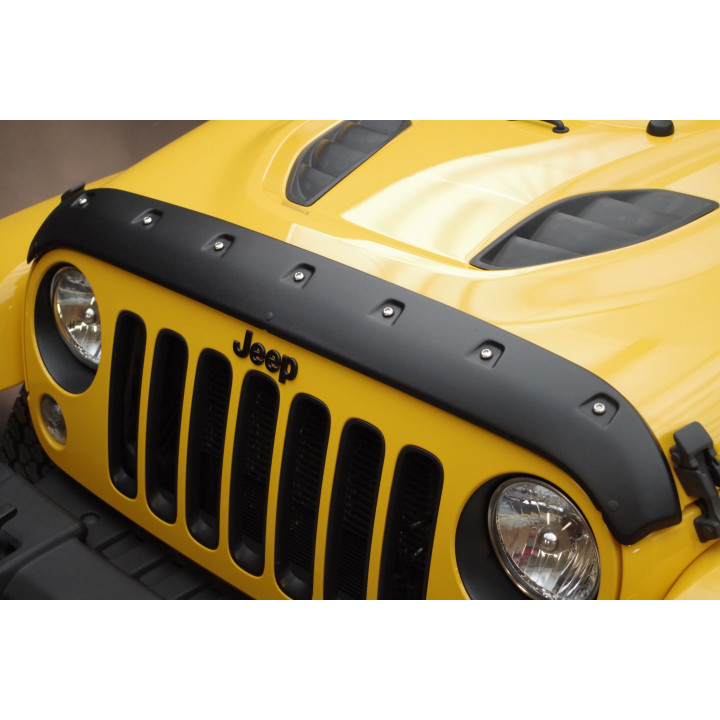 Bugshield lackierbar FormFit
