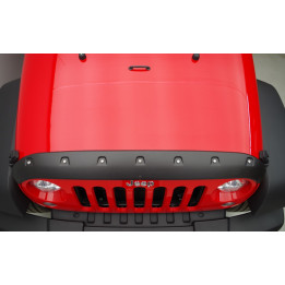 Bugshield lackierbar FormFit