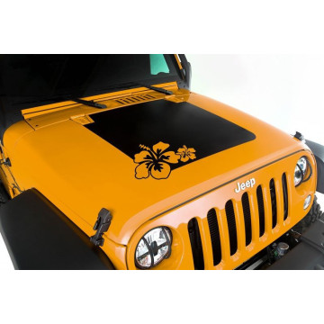 Decals, Vinyls & Embleme